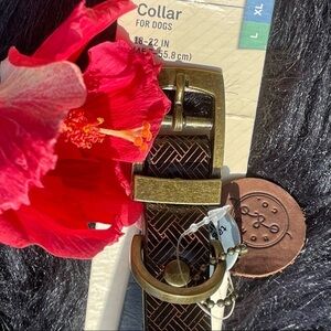 NWT Bond & Co Faux Leather Brown Printed Dog Collar Size L/XL